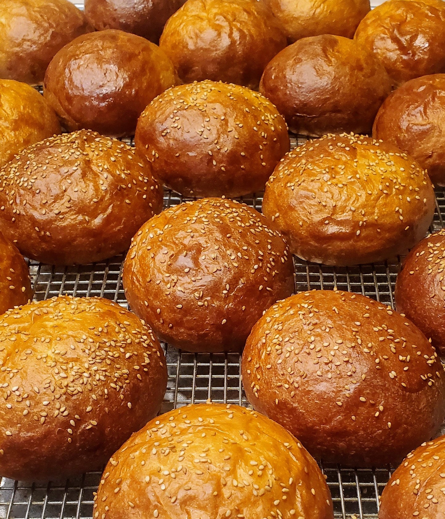 Sesame Burger Buns